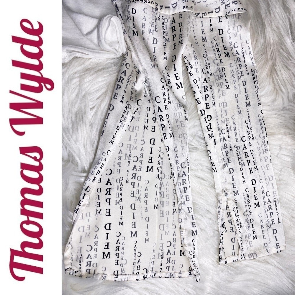 THOMAS WYLDE Y2K Sheer Silk Lyocell Text Print Dress Avant Garde Editorial Small - Picture 13 of 16